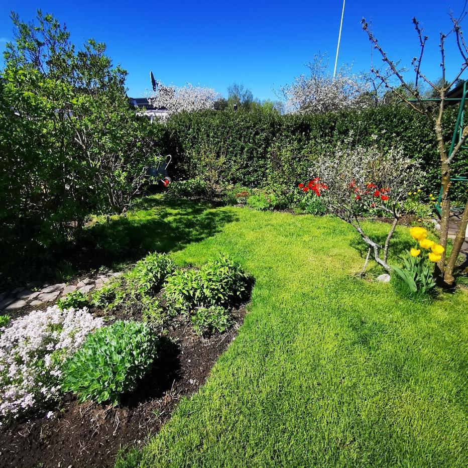 Anttoninvahe 7 130M2 With Garden And Sauna Etc ラウマ エクステリア 写真