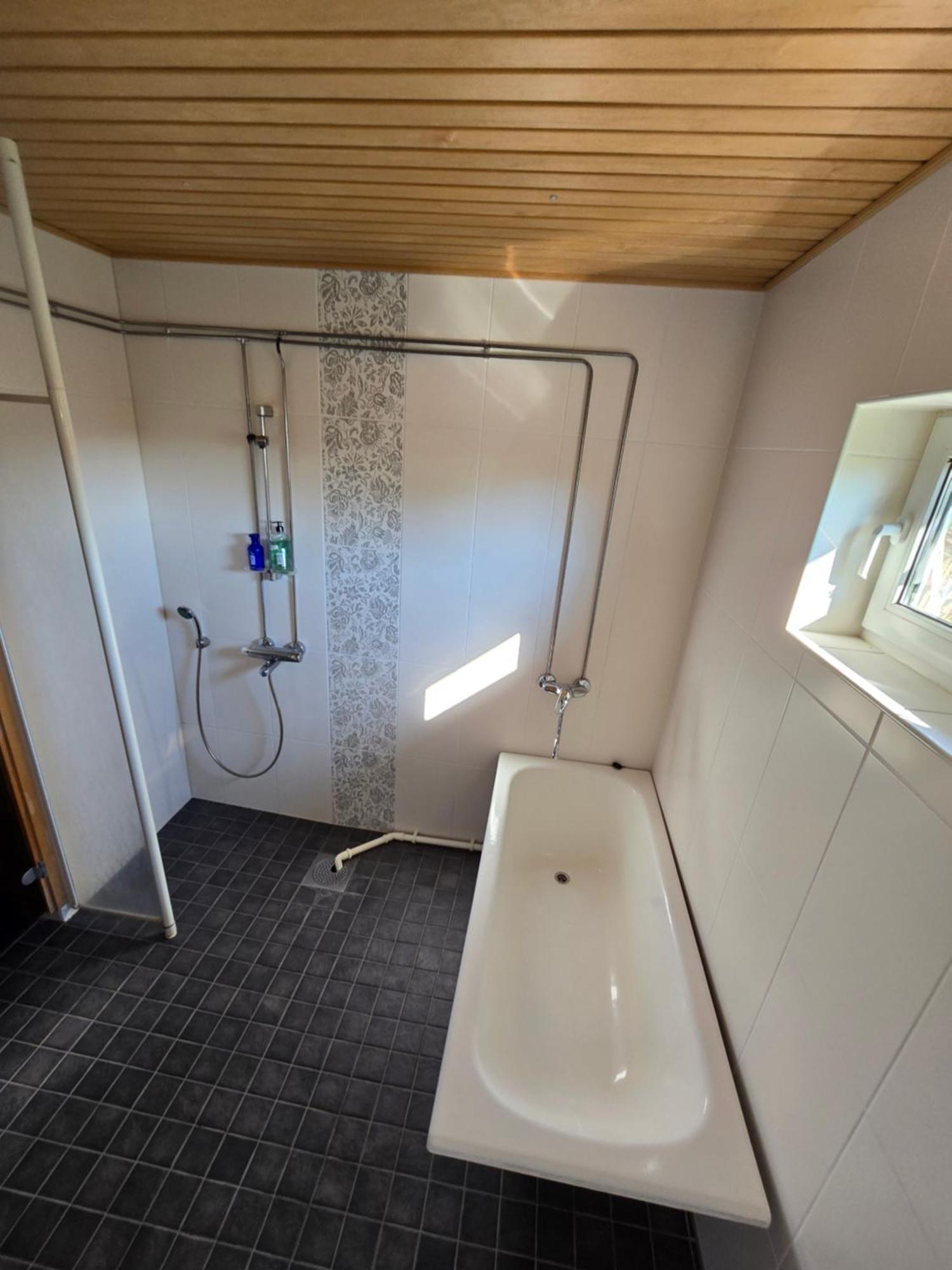 Anttoninvahe 7 130M2 With Garden And Sauna Etc ラウマ エクステリア 写真