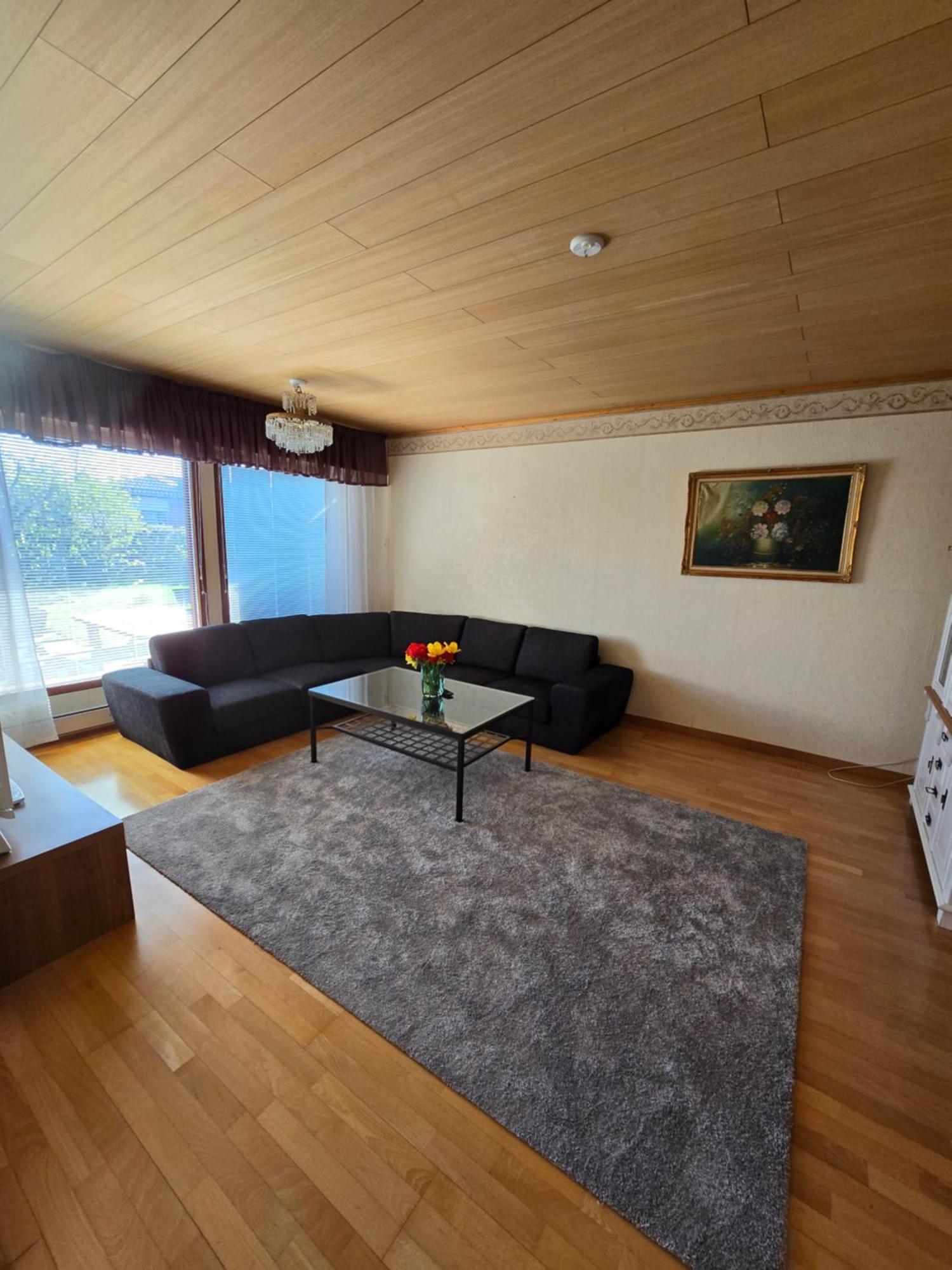 Anttoninvahe 7 130M2 With Garden And Sauna Etc ラウマ エクステリア 写真