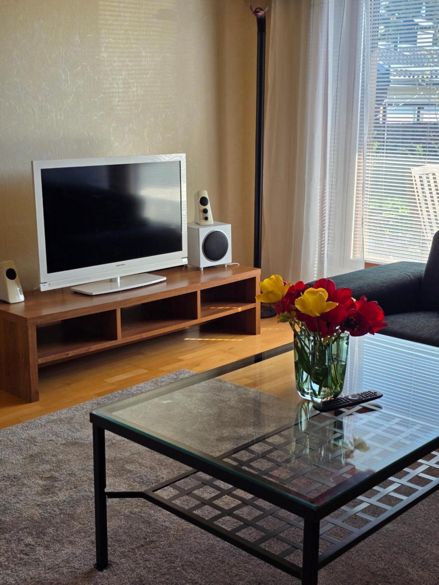 Anttoninvahe 7 130M2 With Garden And Sauna Etc ラウマ エクステリア 写真